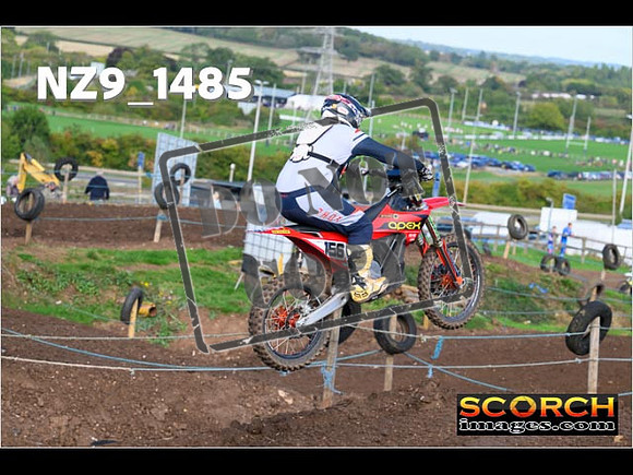 Experts-148