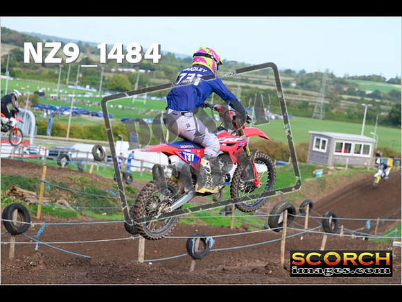 Experts-147
