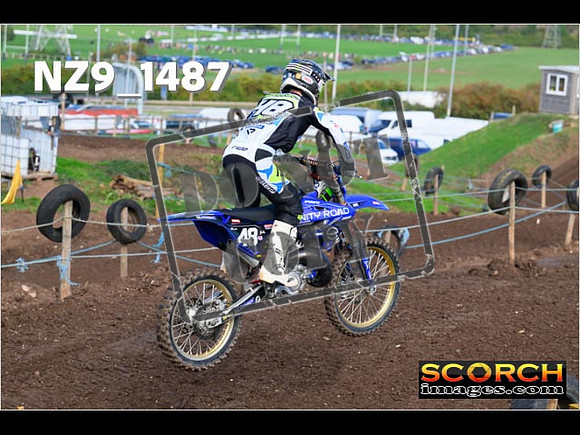 Experts-150