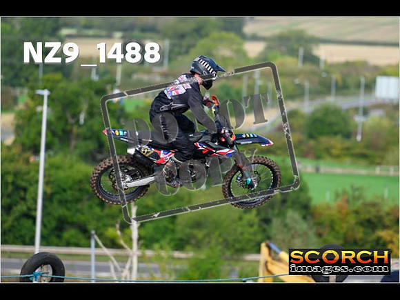Experts-151