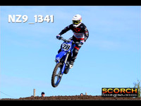 Experts-011