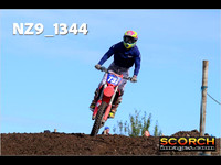 Experts-014