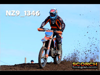 Experts-016