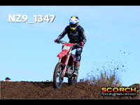 Experts-017