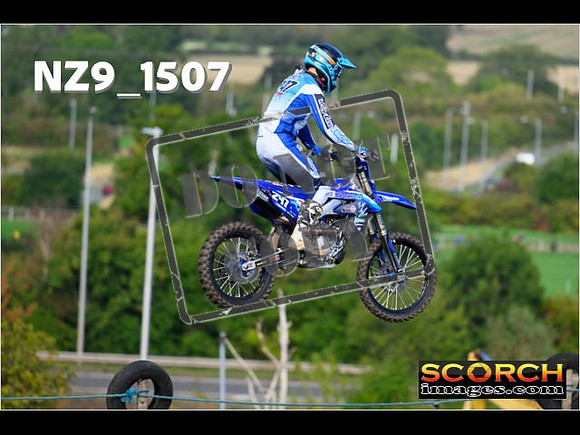 IntersBlue-009