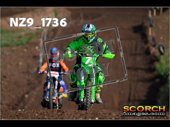 IntersGreenOrange-046