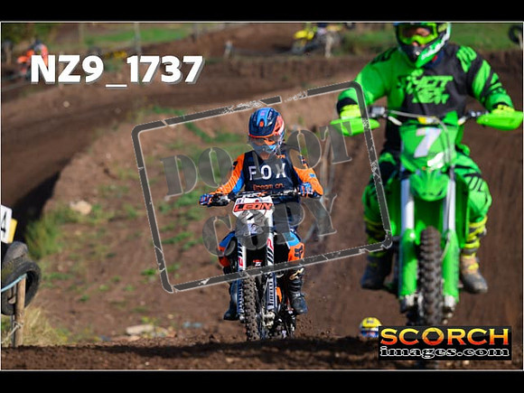 IntersGreenOrange-047