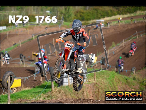 IntersGreenOrange-076