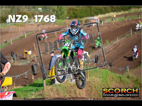 IntersGreenOrange-078