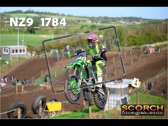 IntersGreenOrange-094