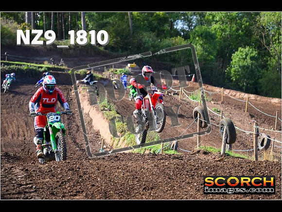 IntersGreenOrange-119
