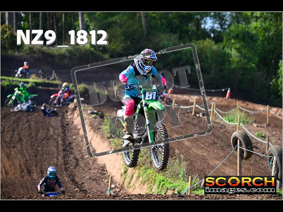 IntersGreenOrange-120