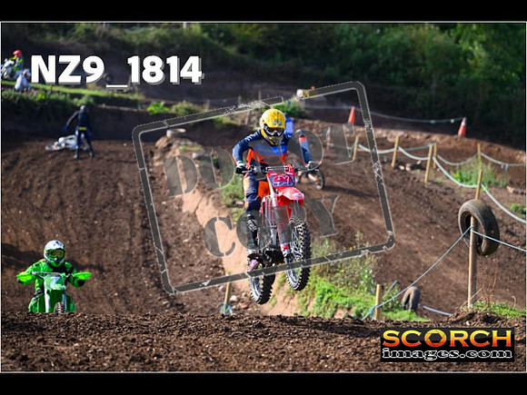 IntersGreenOrange-122