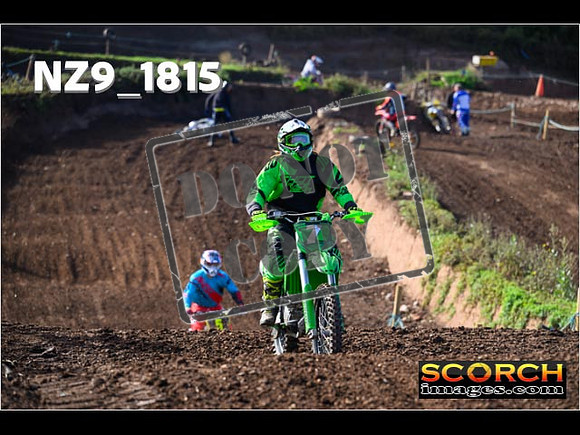 IntersGreenOrange-123