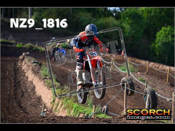 IntersGreenOrange-124