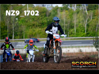 IntersGreenOrange-013