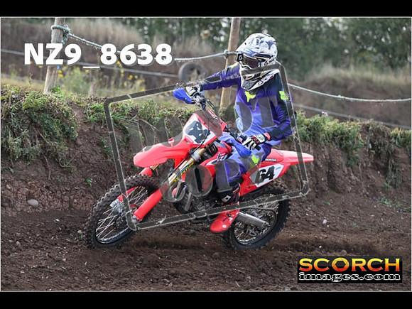 Experts-046