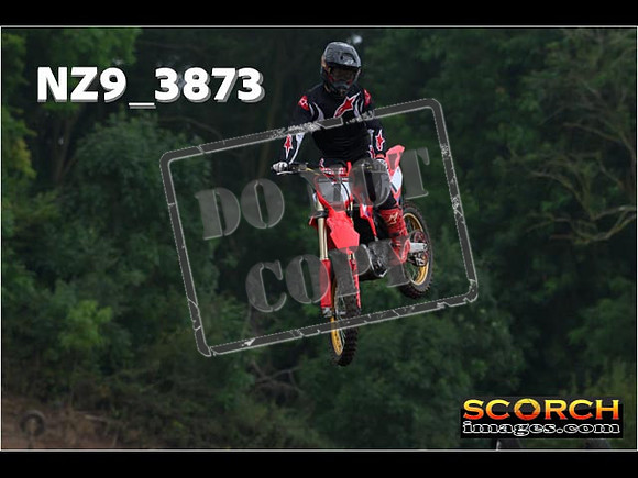Experts-142