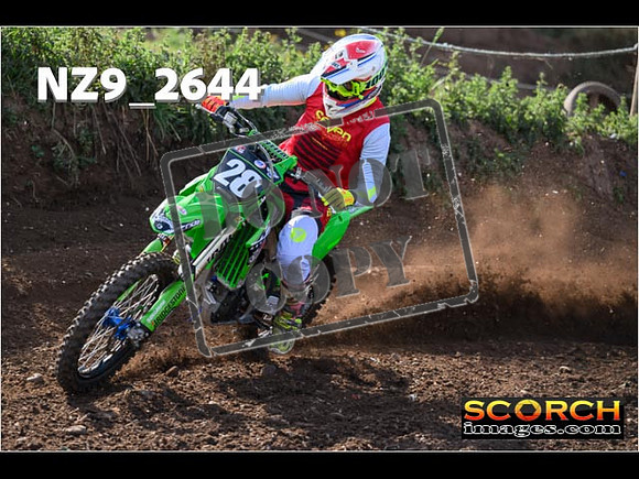 IntersGreenOrange-044