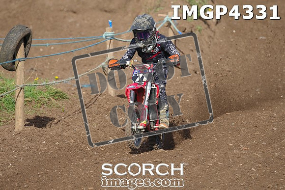 IMGP4331