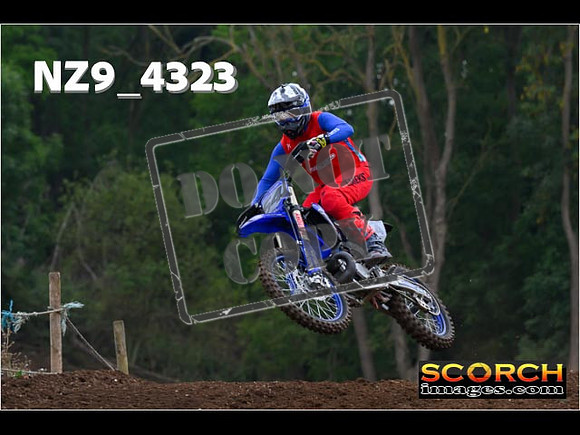 Experts-039