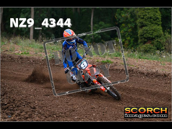 Experts-059