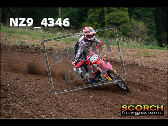 Experts-061