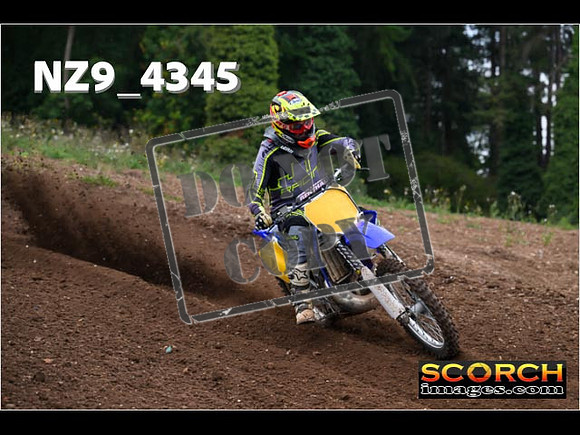 Experts-060
