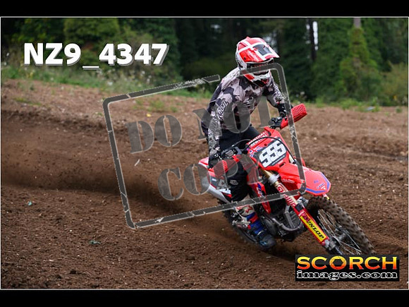 Experts-062
