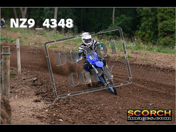 Experts-063