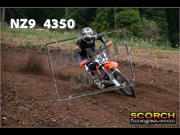 Experts-064