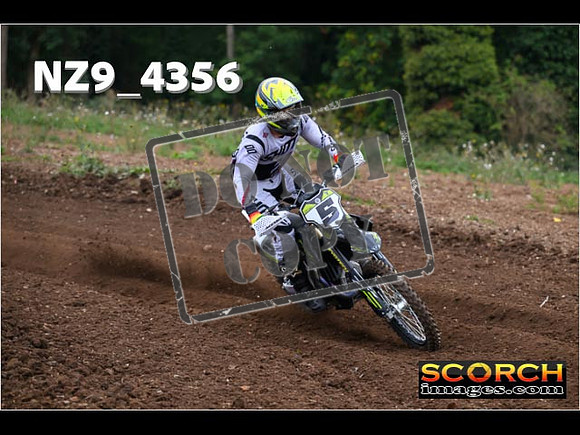 Experts-069