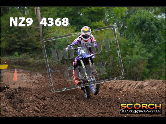 Experts-079