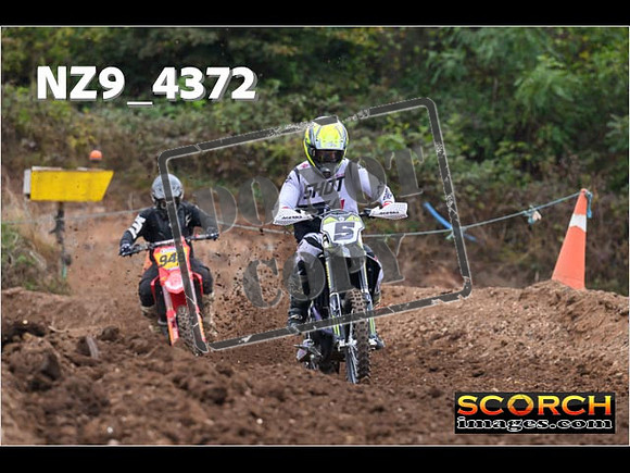 Experts-082