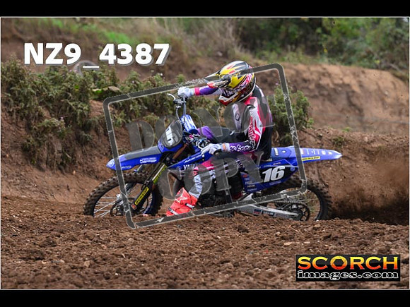 Experts-095