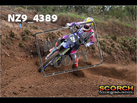 Experts-097