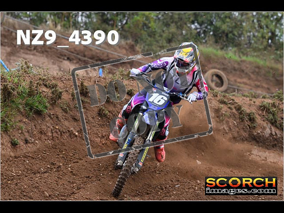 Experts-098