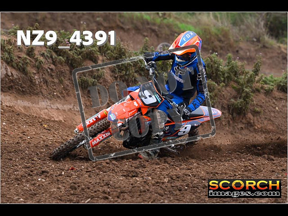 Experts-099