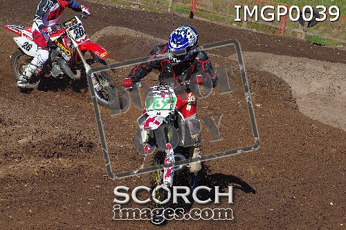 IMGP0039