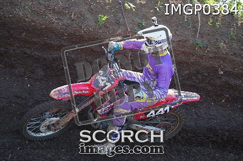 IMGP0384