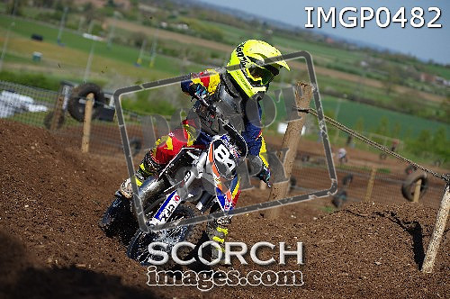 IMGP0482