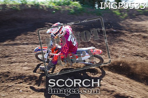 IMGP0533