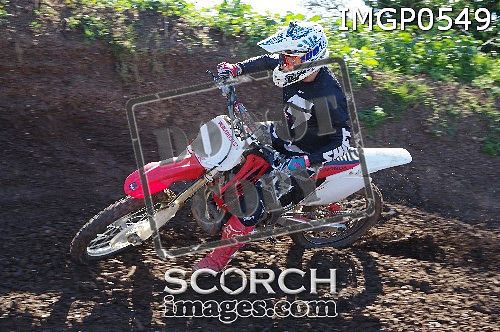 IMGP0549