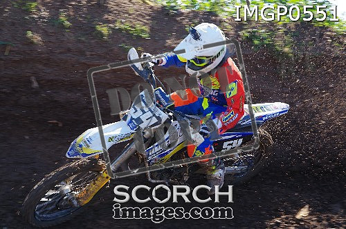 IMGP0551