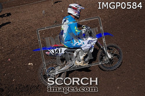 IMGP0584