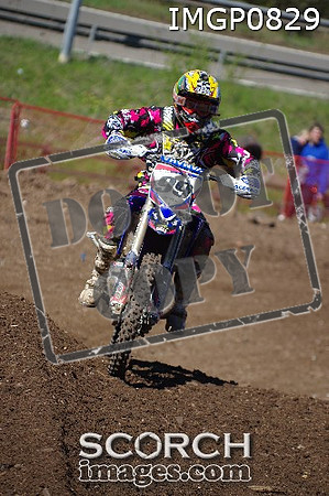 IMGP0829