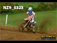 Experts-017