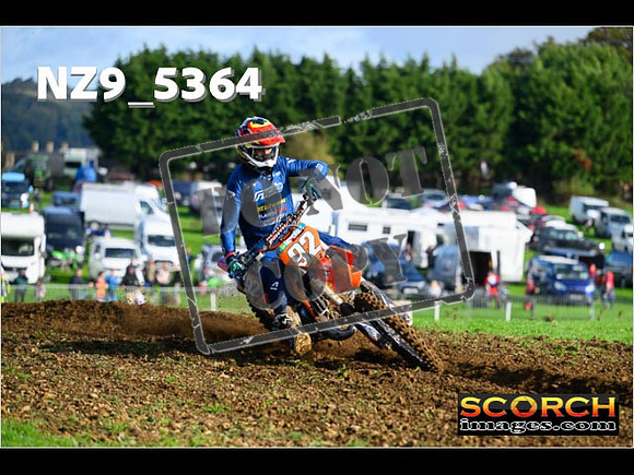 Experts-054