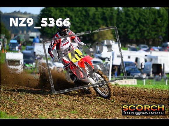 Experts-056