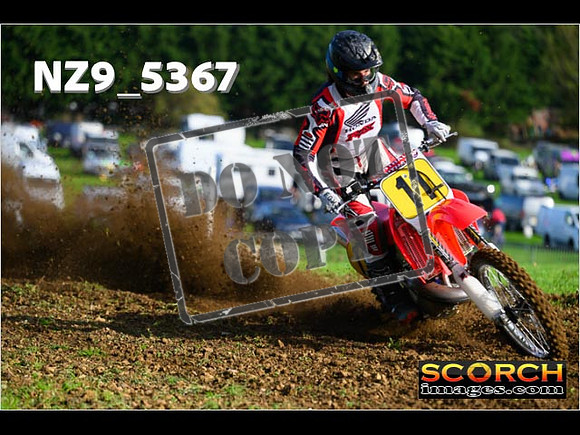 Experts-057